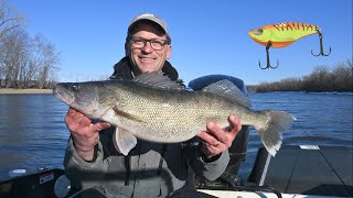 Blade Baits and Plastics for Mississippi River Walleye