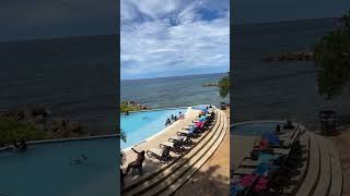 Dolphins Cove Ocho Rios Jamaica