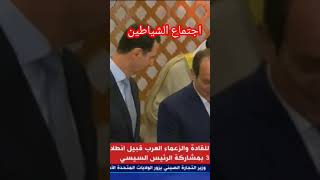 الاسد|السيسي