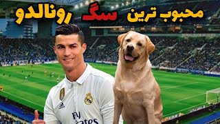 نگاهی  به پشت صحنه عشق رونالدو به سگش🐕‍🦺|سگ لابرادور  دوستی بی مثال درجهان واقعی رونالدو ❤️