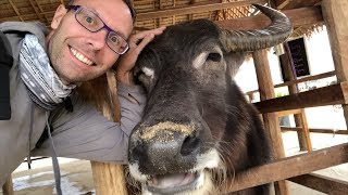 Making Friends in Laos