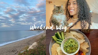 Weekend Vlog: sunrise at malibu, updates, & vegan meals