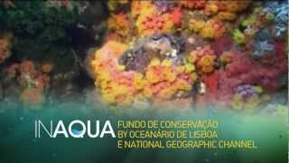 INAQUA FUNDO DE CONSERVAÇÃO BY OCEANÁRIO DE LISBOA E NATIONAL GEOGRAPHIC CHANNEL