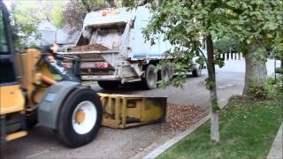 Davis Green Waste Collection