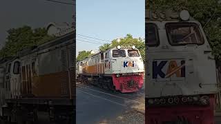 KA MUTIARA SELATAN DARI BANDUNG MENUJU STASIUN GUBENG SURABAYA#keretaapiargowilis #railfans #train