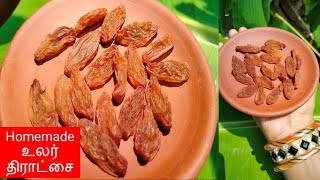 உலர் திராட்சை | Dry grapes | Homemade Dry Grapes | Raisins | How to do Raisins