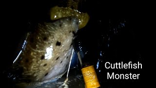 Get big cuttlefish | Nigt Spearfishing