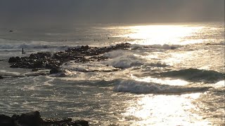 Ballito Pro - Surfing Dolphins Sunrise Fishing