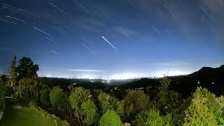 Serene Night in Auckland: Slow Motion Rainforest & City Views