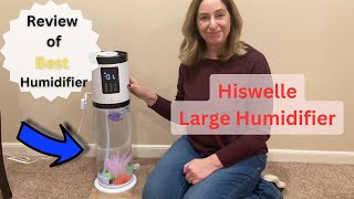 The Best Humidifier For Your Home Hiswelle Large  Humidifier