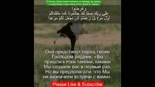 Коран Сура Аль-Кахф |18:48 | Чтение Корана с русским переводом | Quran Translation #quranrecitation