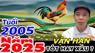 VẬN HẠN Ất Dậu 2005 Năm Ất Tỵ 2025 TỐT HAY XẤU ? Phong Thủy 100 Năm - 0886736347 (Zalo)