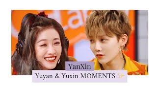 Tymy (Yuxin & Yuyan moment)