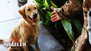 Uma Aventura Cãonina | Trailer Dublado