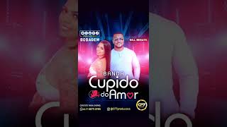 Bobagem com Cupido do Amor #forro #fortaleza #amor #cupido #bbb24 #sofrencia