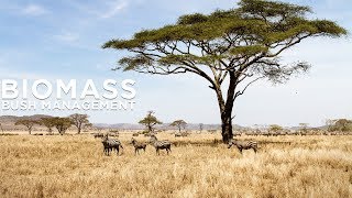 Namibia and Biomass  - Proper Bush Management