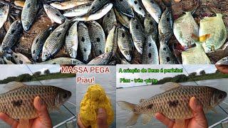 ESSA ISCA É PEGADEIRA, OS PEIXES SE FISGAM SÓ, SÓ PIAU BRUTO! #pesca  #pescaria #fishing #youtube