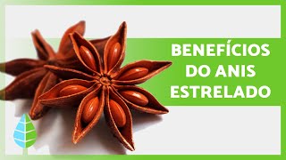 Para que serve o anis estrelado 🤎 Propriedades, benefícios e contra-indicações