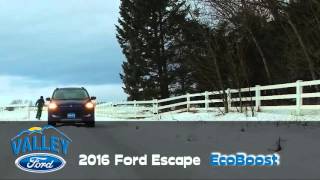 Valley Ford Skijoring 2016