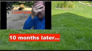 Kentucky Bluegrass Renovation: 10 months after killing all of my grass