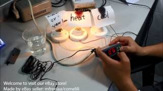 AC 110V Fahrenheit 3 Relays Digital Temperature Controller  Set up demo