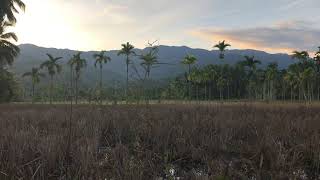 MORNING CHILL, Suasana Pagi yang Tenang di Lembah Bukit Barisan