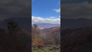 Blue Ridge Parkway, NC #autumn #travel #blueridgeparkway