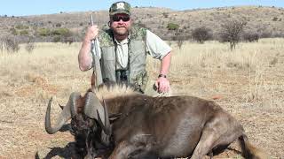 South Africa Black Wildebeest Safari