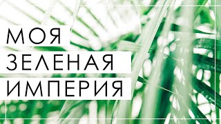 МОЯ ЗЕЛЕНАЯ ИМПЕРИЯ // Как рассадить алоэ // Будни Катюши Эпизод 3