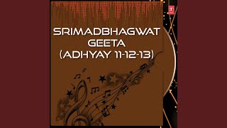 Shrimad Bhagavad Geeta Part-4 [Chaturdash] (Uttrardh) (, Panchdash Adhyaya, Shodash Adhyaya,...