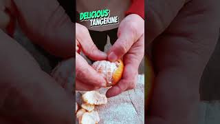 Delicious tangerine