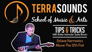 Octave Harmonics Above The 12th Fret - With Guitar Instructor Sasha Brusin