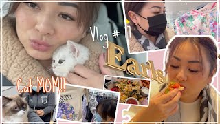 Vlog #17 A Day in my Life *Cat MOM, Dining out & After school shopping | JustSissi