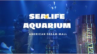 Sea Life Aquarium at the American Dream Mall