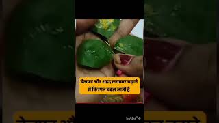 बेलपत्र के इस तरह प्रयोग से मनुष्य का भाग्य चमक जाता हैं।🙏❤️#like #subscribe #महादेवजी #viral