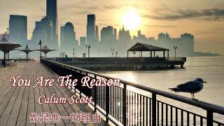 You Are The Reason{妳是唯一的理由}~Calum Scott中英歌詞