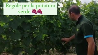 POTATURA VERDE della VITE: poche regole per una potatura efficace