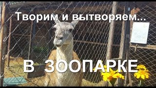 Творим и вытворяем - в зоопарке! Анонс