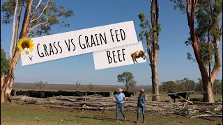 Grass Vs Grain Fed Beef