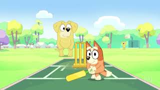 Bluey: Cricket Opening