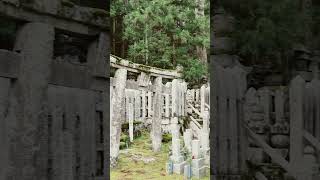 A Walk Through the Okuno-in Cemetery, Mt. Koya