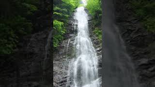 Beautiful Scenery, Waterfalls, Relaxing Music with Water Sound #shorts #nature #meditation