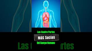 😱🤢 Las cuatro partes más sucias del cuerpo humano | #shorts