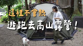 #41露【喝納灣｜苗栗南庄】夏天露營高海拔森林系再+1！分享WAQ今夏新品 ft. imami暖食樂｜陳先陳太