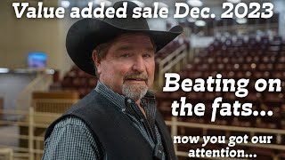 Fat Cattle Market Down. December Value added sale