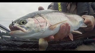 fly fishing at Roche Lake BC