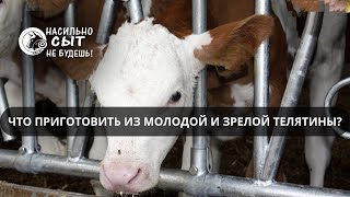 Что приготовить из молодой телятины и зрелой?