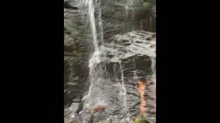 Waterfalls: Folly Dolly Falls (3/8)