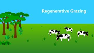 What is Regenerative Agriculture