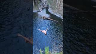 Punchbowl falls double gainer